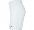 Футбольные шорты Nike Park III Shorts (BV6855-100) 0