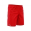 Футбольные шорты Swift Cooltech (011401-06-44) 3