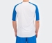 Футбольна форма Joma Essential футболка (101105.207) 2