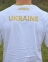 Футболка тренировочная сборной Украины Joma белая (FFU201031.18) 3