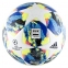 Футбольный мяч Adidas Finale 20 Top Training (DY2551) 2