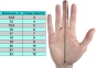 Вратарские перчатки BRAVE GK REFLEX WHITE (00040209) 0
