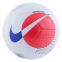 Футзальный мяч Nike Futsal Pro (SC3971-100) 0