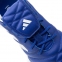 Сороконожки Adidas Copa Gloro TF (GY9061) 2