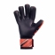 Вратарские перчатки BRAVE GK POWER TRAIN (00050607) 1