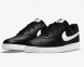 Кросівки Nike Court Vision Low (DH2987-001) 0