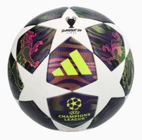 Футбольний м'яч adidas UCL Competition 25/26 Final (JX9096)