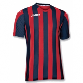 Футболка Joma Copa (100001.603)