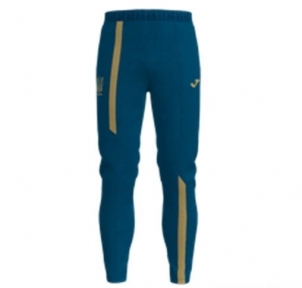 Спортивные штаны сборной Украины синие (FFU310011.18)