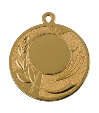 Спортивная медаль FE121 50ММ золото