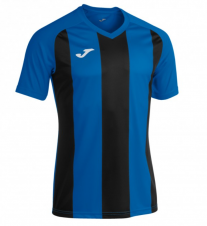 Футболка Joma PERFORMANCE MULTISPORT (102243.701)