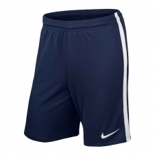 Ігрові шорти Nike League Knit Short (725881-410)