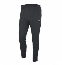 Тренировочные штаны Nike Dry Academy 19 (AJ9181-060)