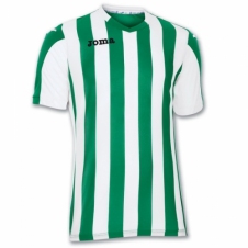 Футболка Joma Copa (100001.450)