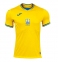 Футбольная форма сборной Украины Joma Euro 2020 игровая футболка желтая