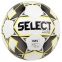 Футзальный мяч Select Futsal Master (1043446051)