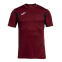 Футболка Joma WINNER III (103150.680)