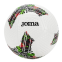 Футбольний м'яч JOMA GIOCO III (401724.204)