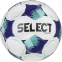 Футбольний м'яч SELECT Tempo TB FIFA Basic (057409)