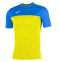 Футболка Joma WINNER (100946.907)