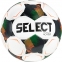 Футзальный мяч Select Futsal Planet FIFA Basic (103347)