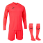 Вратарская форма Joma ZAMORA VII (102789.040)