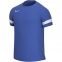 Футболка Nike Dri-FIT Academy 21 Shirt Heren (CW6101-480)