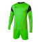 Вратарская форма Joma Phoenix (102858.021)