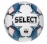 Футбольний м’яч Select NUMERO 10 FIFA (057405)