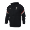 Толстовка Nike Liverpool FC Travel Fleece Hoodie (DA9766-010)