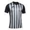 Футболка JOMA INTER II (102807.102)